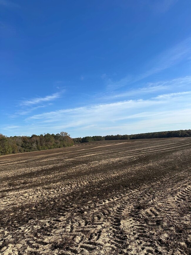 19800 Tervin Mill Rd, Andalusia, AL 36421 - photo 7