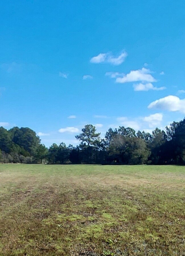 Lot 3 Wingapo Ln unit 3, Hacksneck, VA 23358 - photo 3