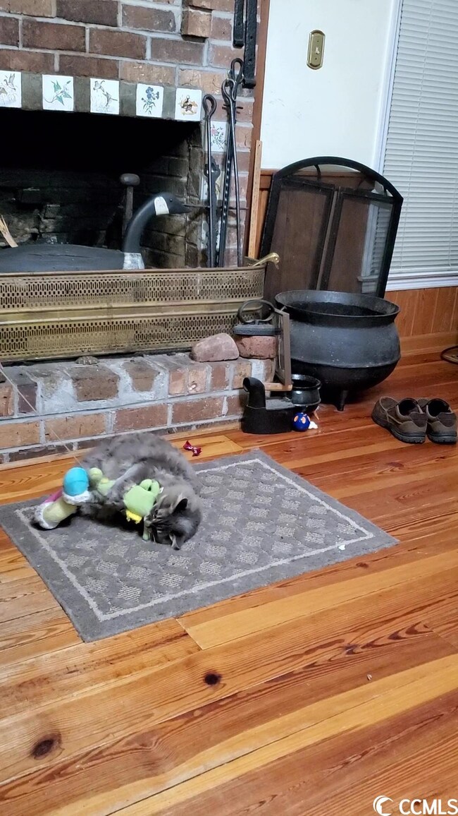 Cat does not convey