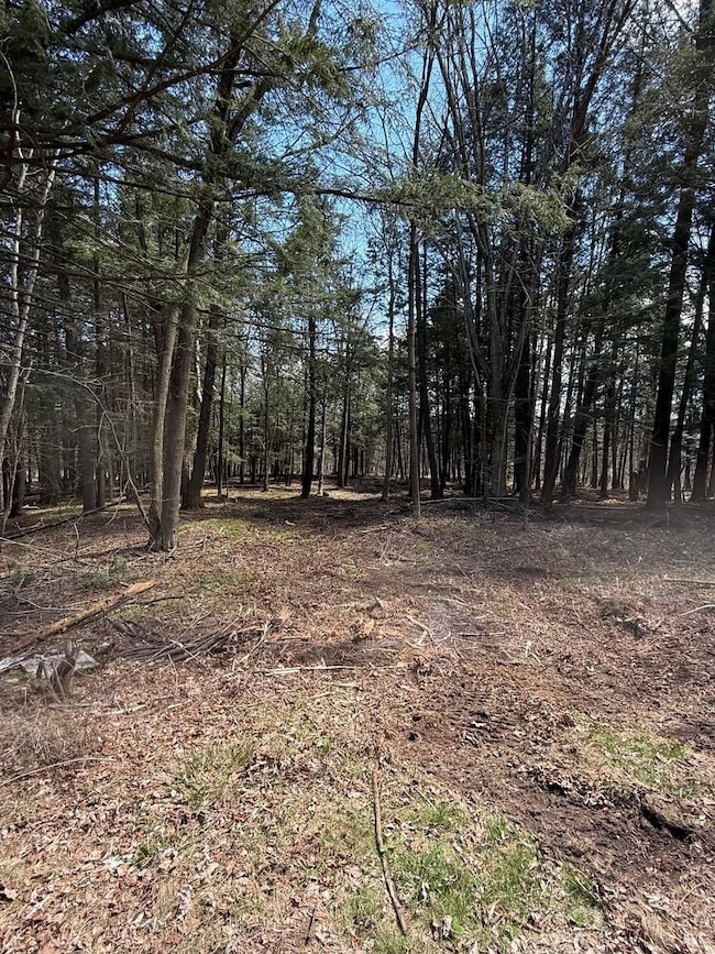 Lot 2 Buttercup Rd, Rib Mountain, WI 54401 - photo 3