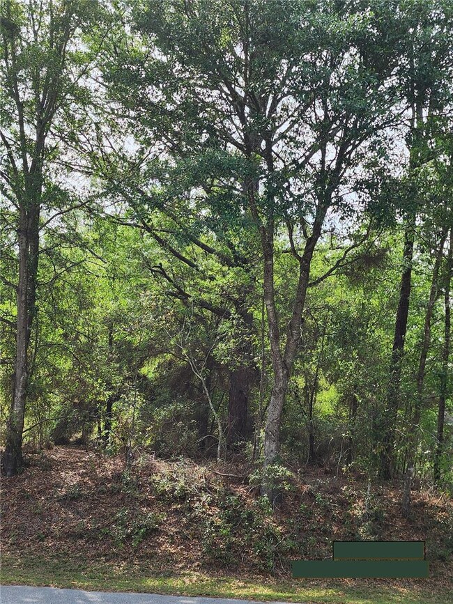 0 SW 199th Ct, Dunnellon, FL 34431 - photo 5