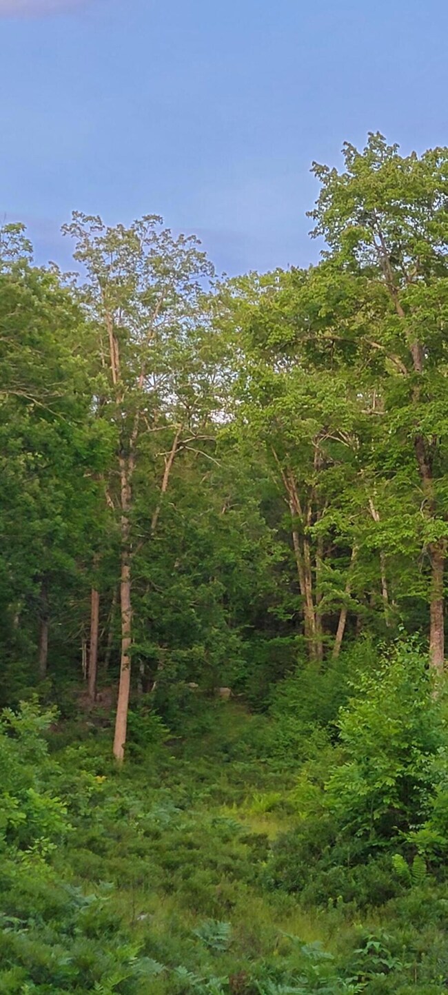 00 Off Earls Rd, South Berwick, ME 03908 - photo 4