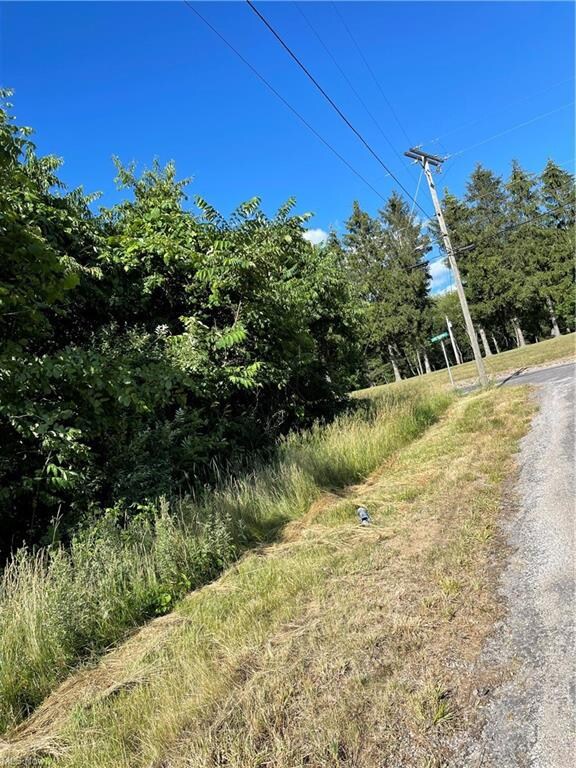 0 Annesley Rd, Calcutta, OH 43920 - photo 4