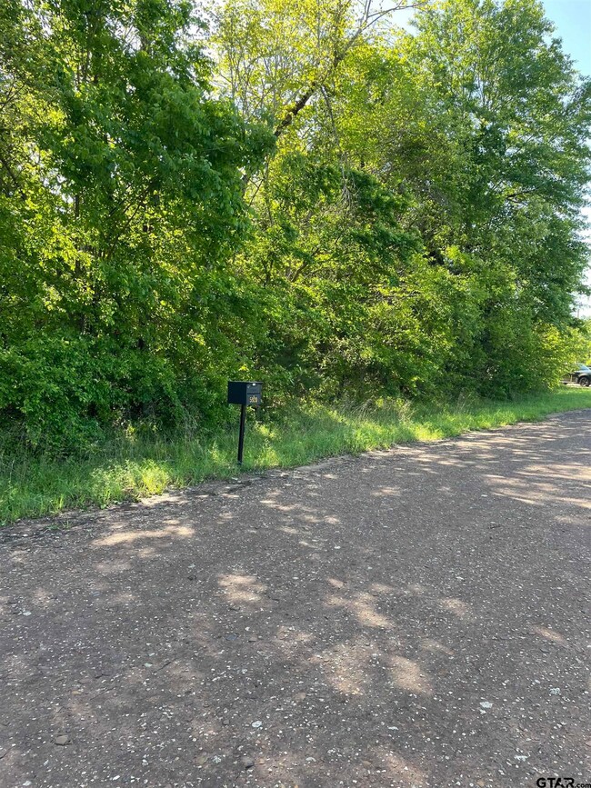 6001 County Road 233, Tyler, TX 75705 - photo 4