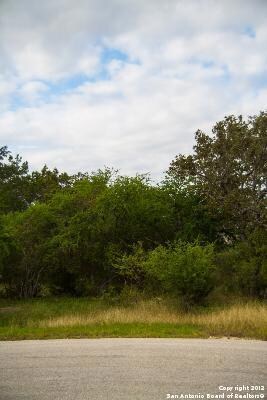 3803 Wilderness Elm, San Antonio, TX 78261 - photo 7