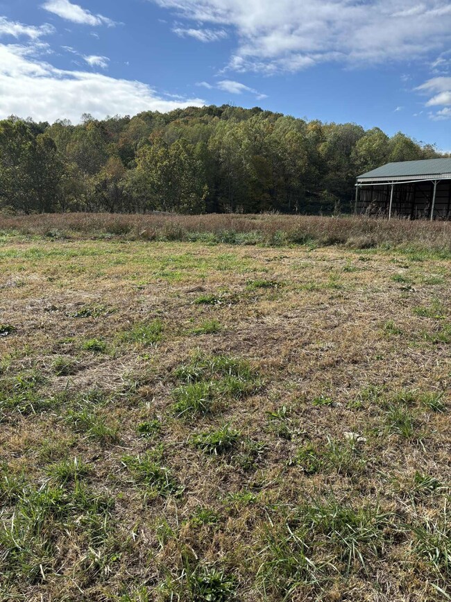 Pine Grove Ch Rd, Vanceburg, KY 41179 - photo 5
