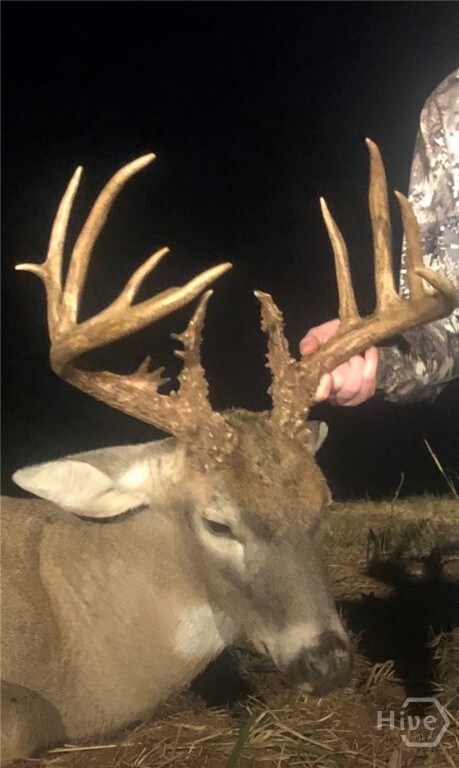 0 Georgia 72 unit CL344632, Comer, GA 30629 - photo 7