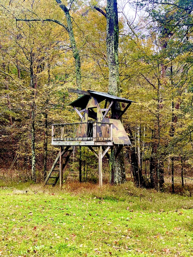 788 Hurricane Creek Rd, Stewart, TN 37175 - photo 5