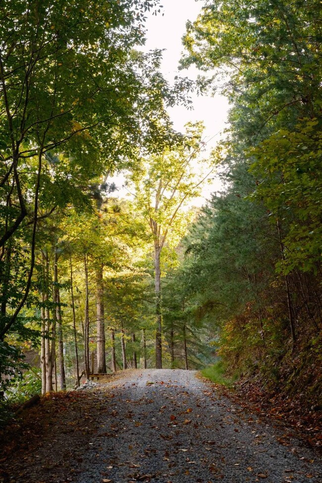 9009 W Cove Rd, Chickamauga, GA 30707 - photo 5