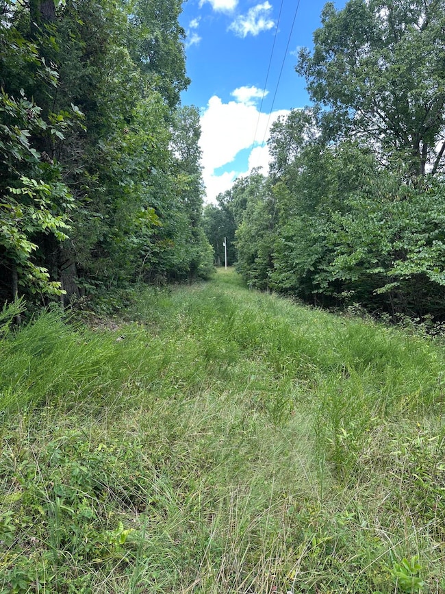 781 Apple Ln, Cynthiana, KY 41031 - photo 5