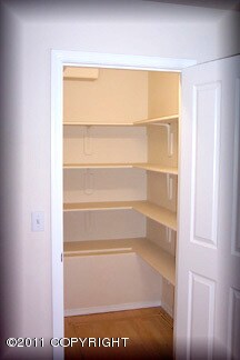 Kitchen pantry