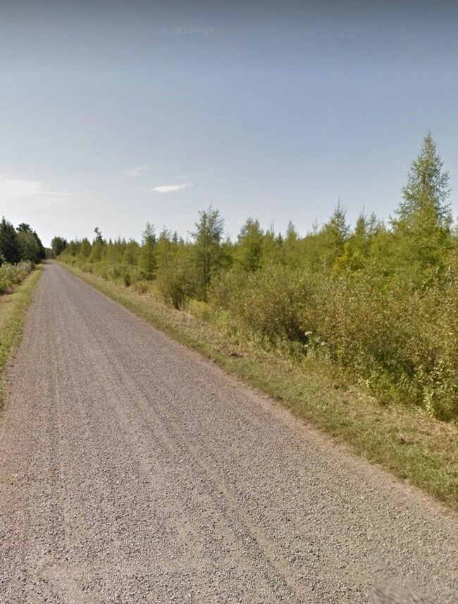 XXXX Saint Louis Co 991, Meadowlands Township, MN 55765 - photo 3