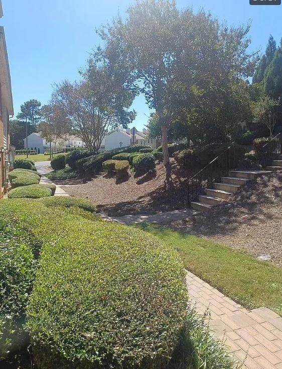 View of grassy yard with stairway