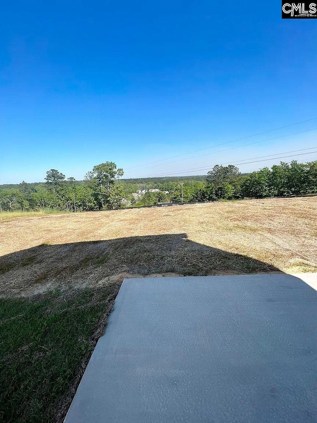 199 Kitti Wake Dr, West Columbia, SC 29170 - photo 5