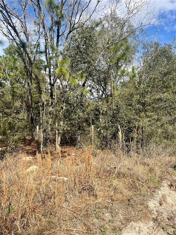 Lot #8 SE 73rd Place, Morriston, FL 32668 - photo 7