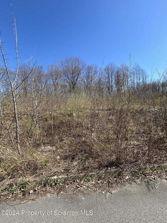 109 Black Walnut Dr, Olyphant, PA 18447 - photo 3