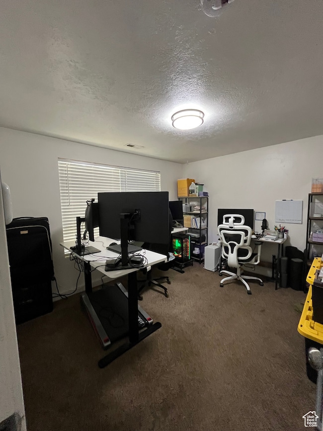 Office space featuring carpet floors and a textured ceiling