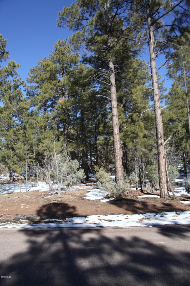 2121 S Bristlecone Dr unit 350, Show Low, AZ 85901 - photo 5