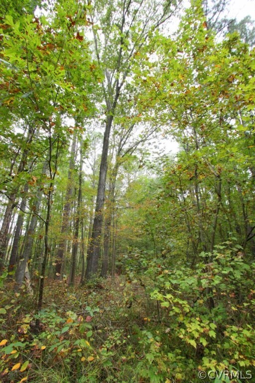 0 Vfw Rd unit 1528681, King William, VA 23181 - photo 6