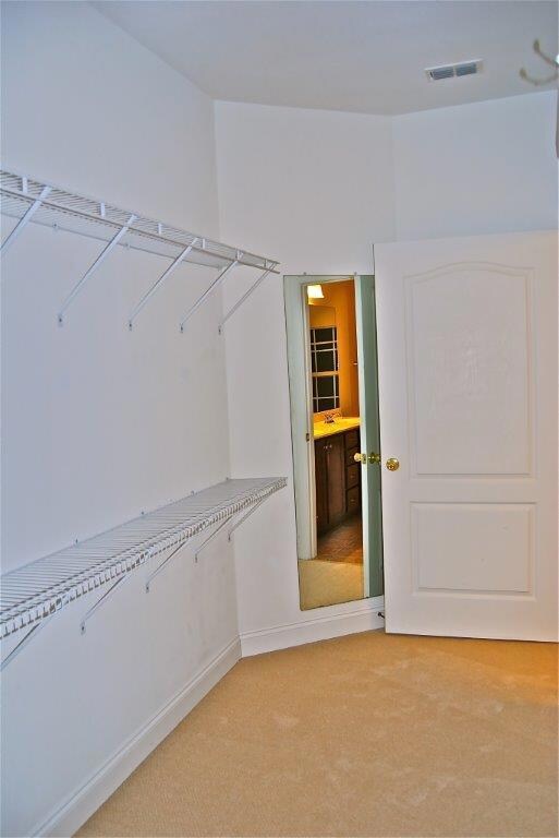 Walk In Closet in Master