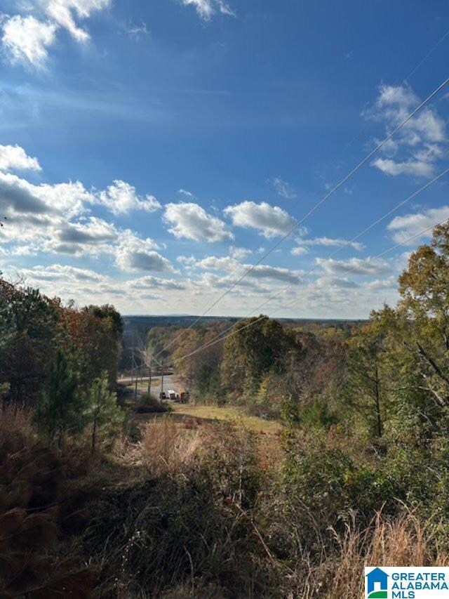 121 Crest Dr, Chelsea, AL 35043 - photo 7