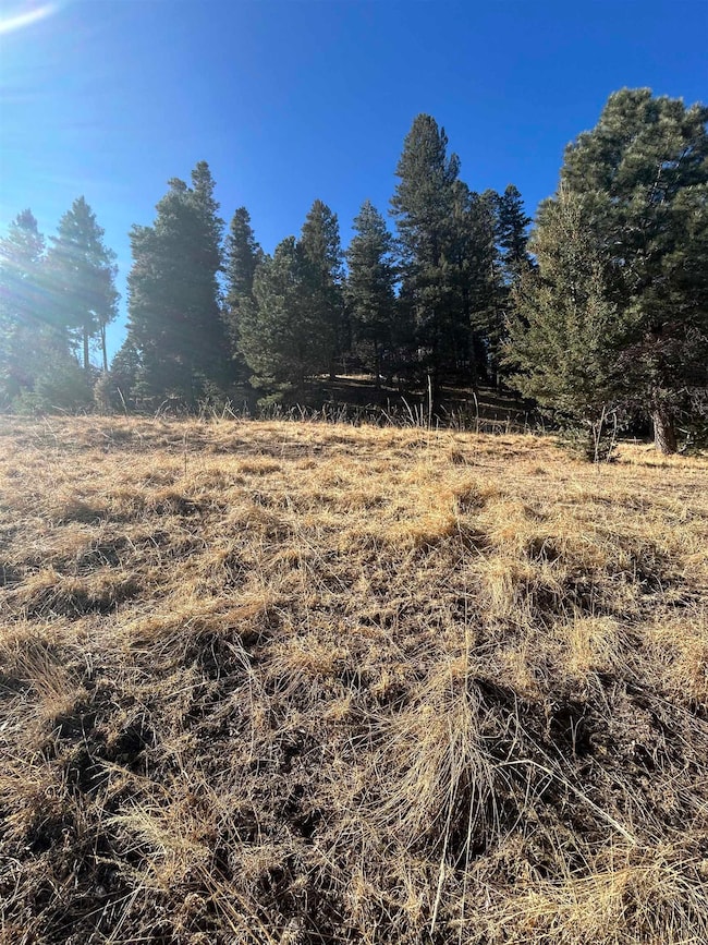 0 Trading Post Rd unit 66 170435, Cloudcroft, NM 88317 - photo 2