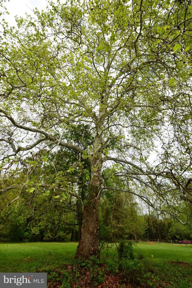 0 John Mosby Hwy unit 1001582898, Middleburg, VA 20117 - photo 4