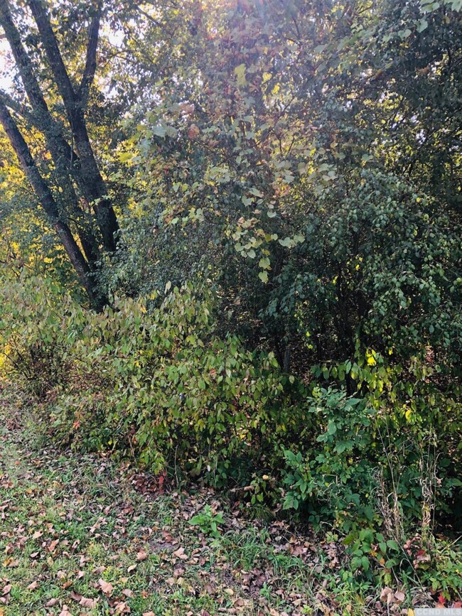 53 - A Sleepy Hollow Rd, Athens, NY 12015 - photo 3