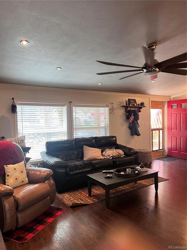 434 Blue Mountain Dr, Florissant, CO 80816 - photo 5