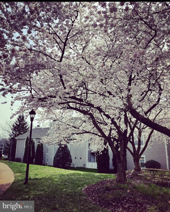 14320 Climbing Rose Way unit 201, Centreville, VA 20121 - photo 5