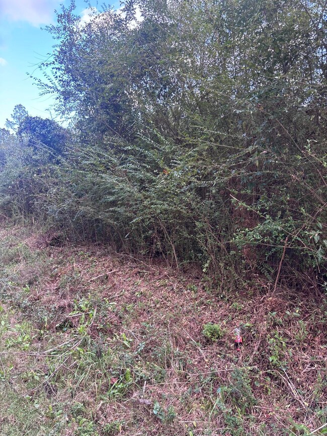 00 Phillips Rd, Sumrall, MS 39482 - photo 5