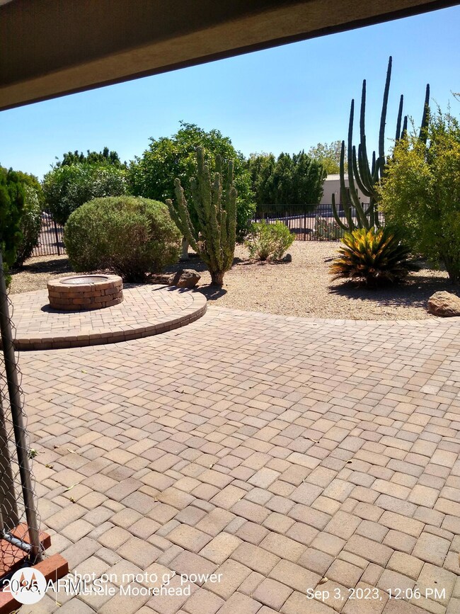BACKYARD.2