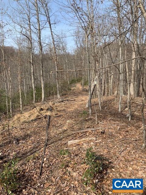 2704 Poorhouse Rd, Charlottesville, VA 22903 - photo 7