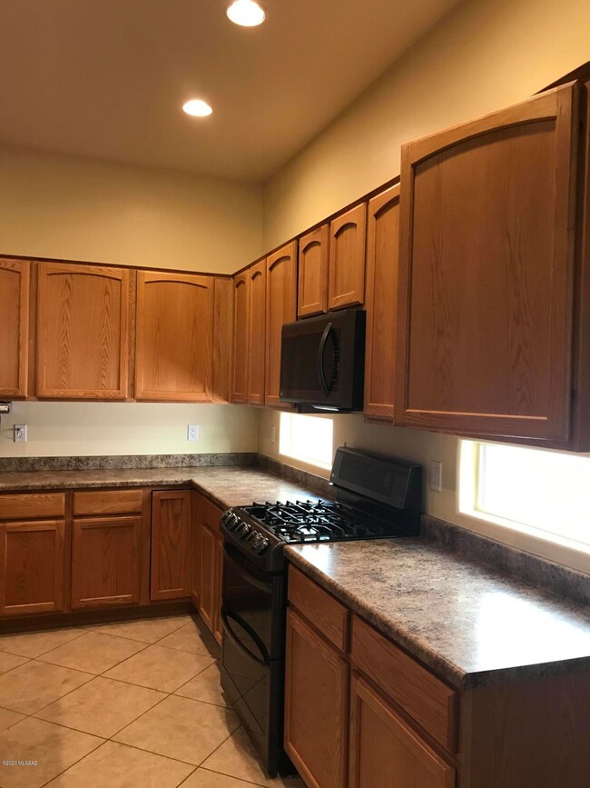 13914 N Big Wash Overlook Place, Tucson, AZ 85739 - photo 4