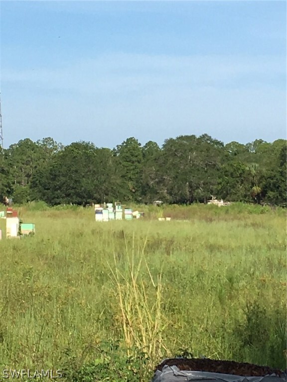 3320 Packinghouse Rd, Alva, FL 33920 - photo 5