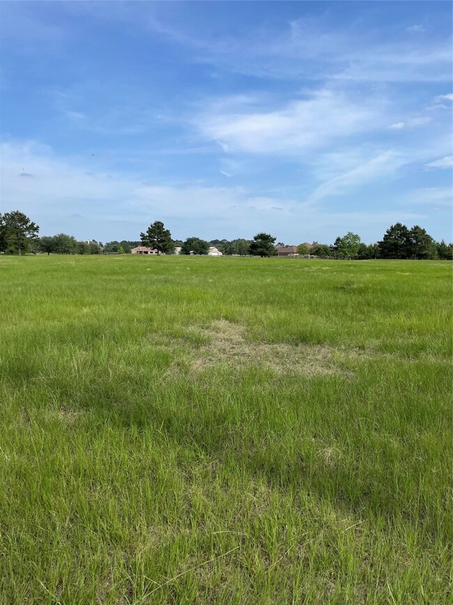 390 Meadow Lake, Magnolia, TX 77355 - photo 3