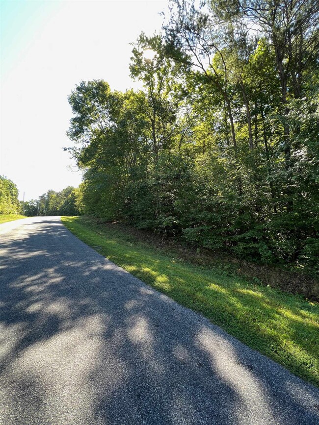 000 Long Rd, Reidsville, NC 27320 - photo 3