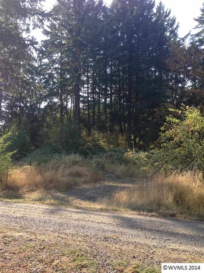 0 Mirror Pond Estates Lot 2 unit 682783, Amity, OR 97101 - photo 5