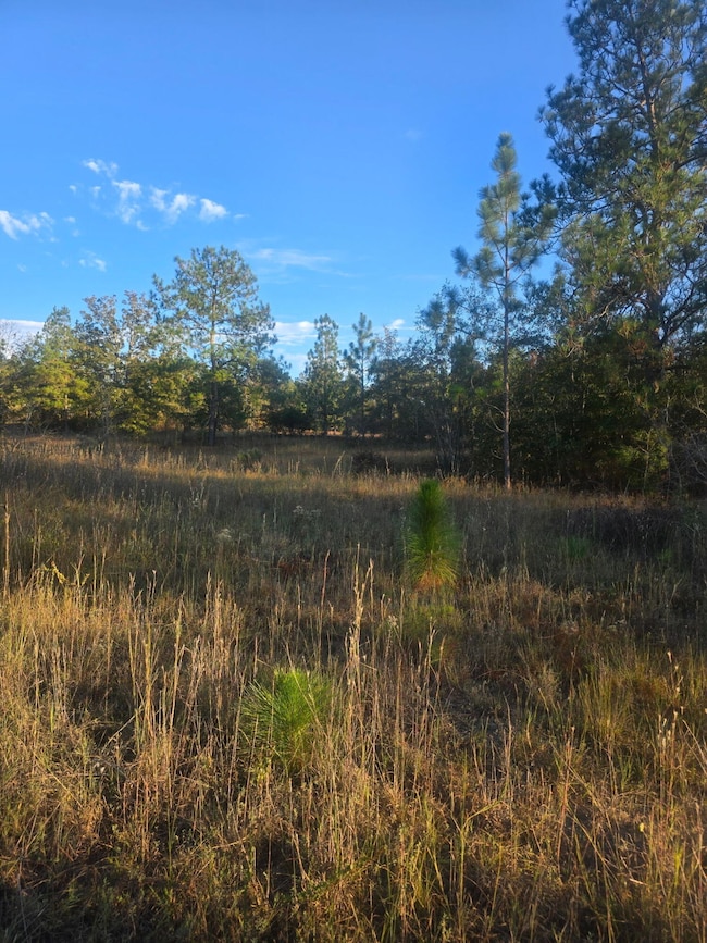 Tbd Hamilton Branch Way, Aiken, SC 29803 - photo 5