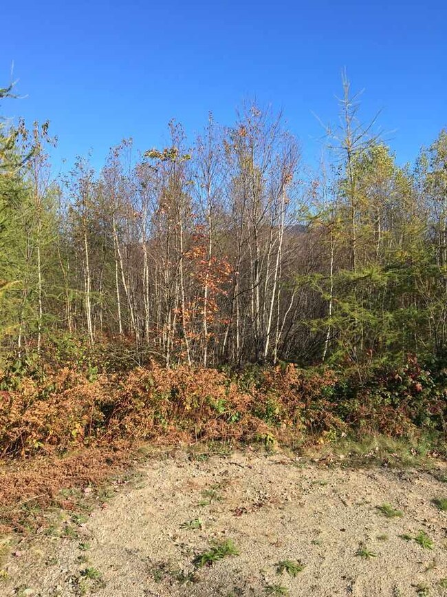 47 Crystal unit Map 1, Lot3, Jefferson, NH 03583 - photo 6