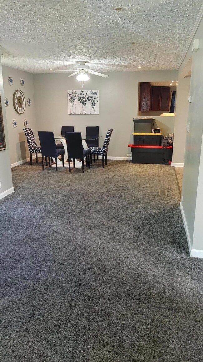 360 Chestnut St, Marion, OH 43302 - photo 5