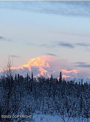 11051 Susitna River Rd, Talkeetna, AK 99676 - photo 7