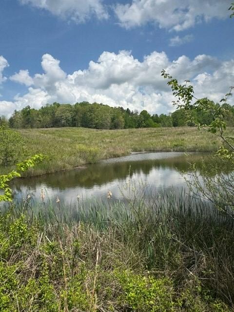 0 Sam Smith Rd unit 236295, Allardt, TN 38504 - photo 4