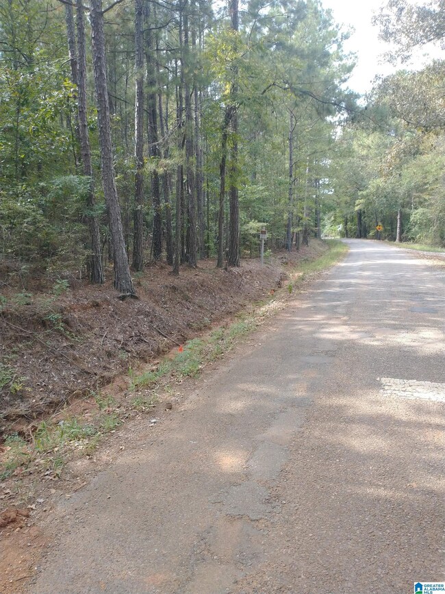 334 Serenity Ln, Alpine, AL 35160 - photo 6