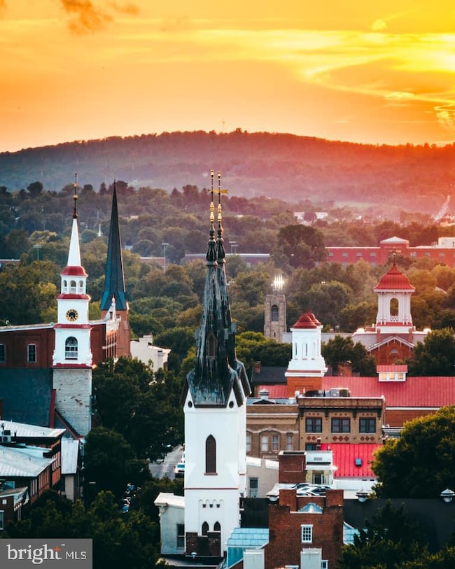 203 Magnolia Ave, Frederick, MD 21701 - photo 2