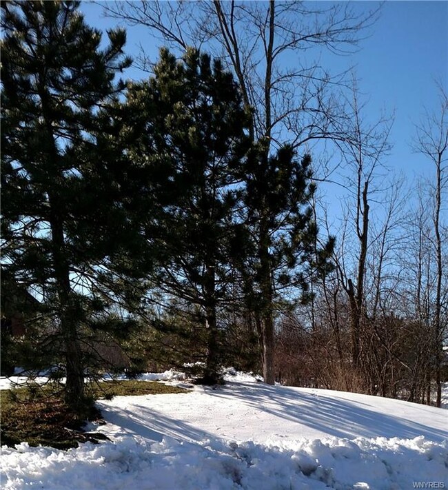 YES ... You'll be Enjoying the Beauty of Winter ..