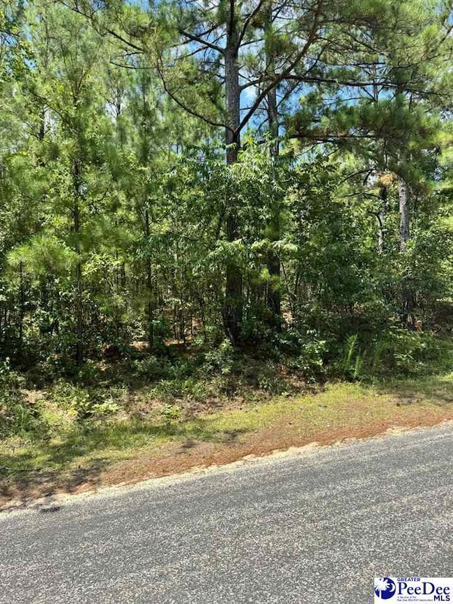 TBD Sail Club Rd (State Rd S-13-674) Tms 162, Hartsville, SC 29550 - photo 7