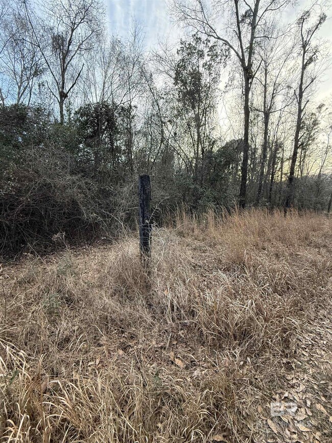 0 Harmon Williams Rd unit 374119, Mobile, AL 36608 - photo 5