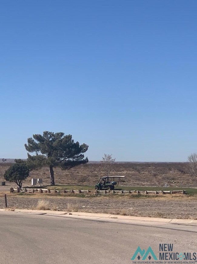 N of 701 Ridgecrest Dr, Carlsbad, NM 88220 - photo 6