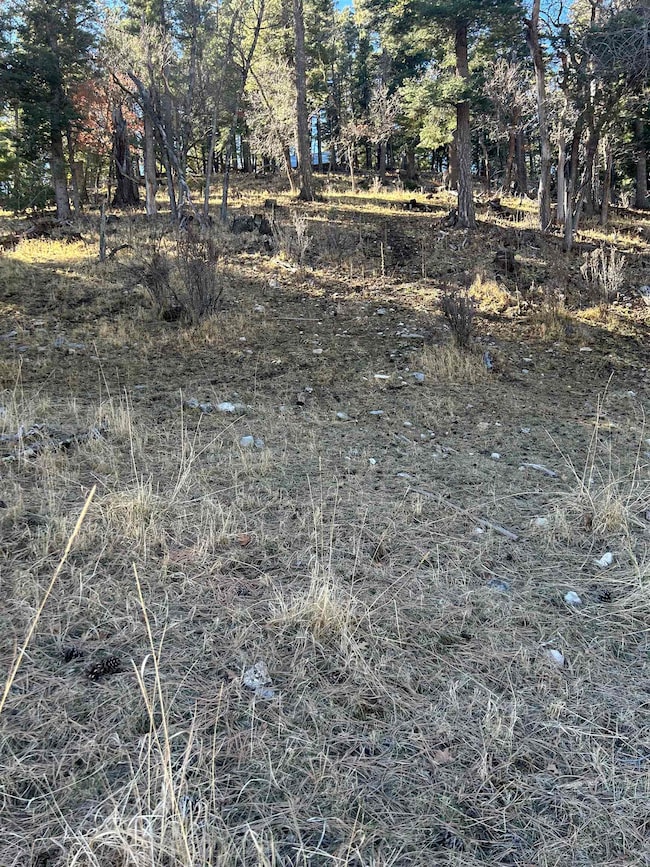 0 Trading Post Rd unit 66 170435, Cloudcroft, NM 88317 - photo 5